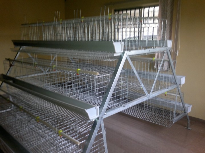 Poultry Battery Cages For Sale In Nigeria - Agriculture - Nigeria