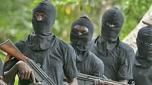 Image result for nigeria gunmen photo