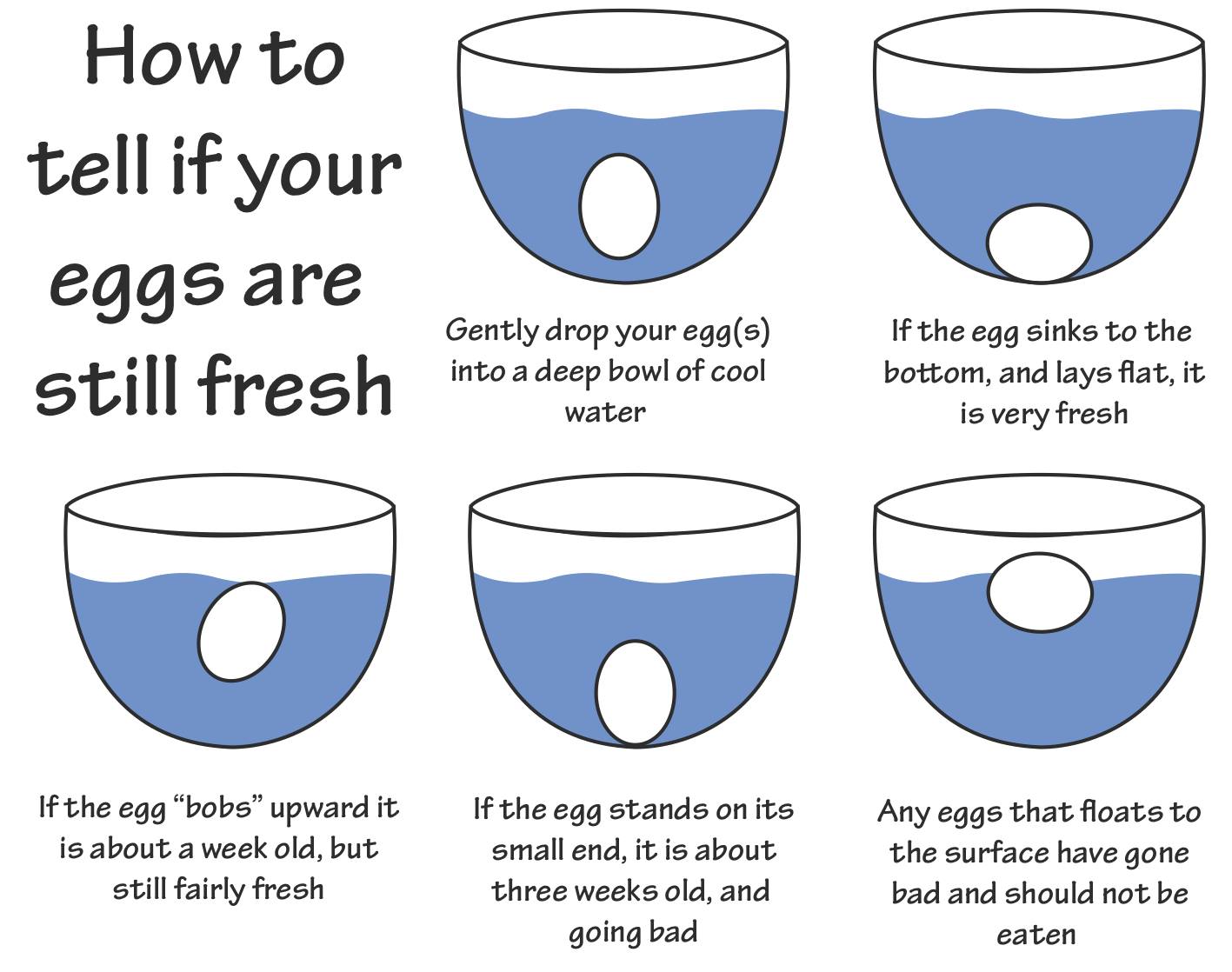 How To Tell If Your Eggs Are Still Fresh - Food - Nigeria