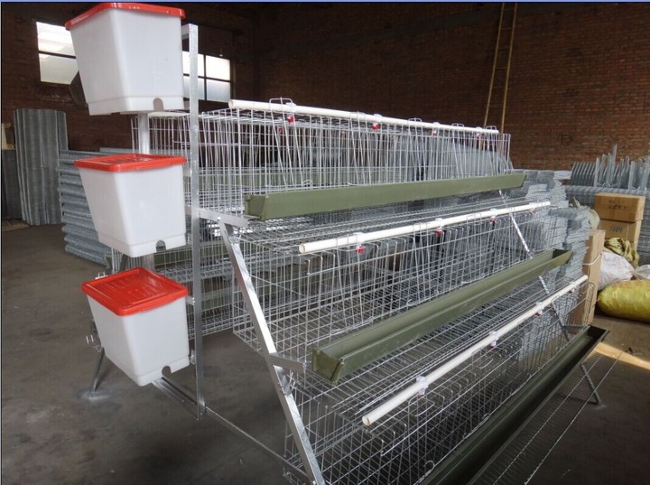 Broiler Poultry Housing