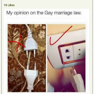 Opinion Gay Marriage 19
