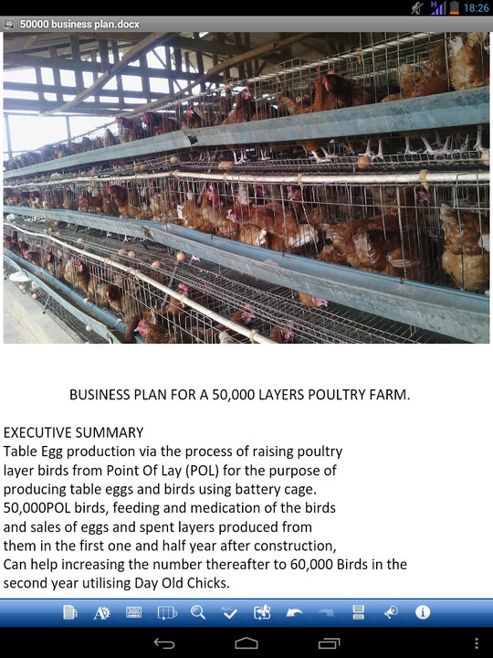 egg producing business plan
