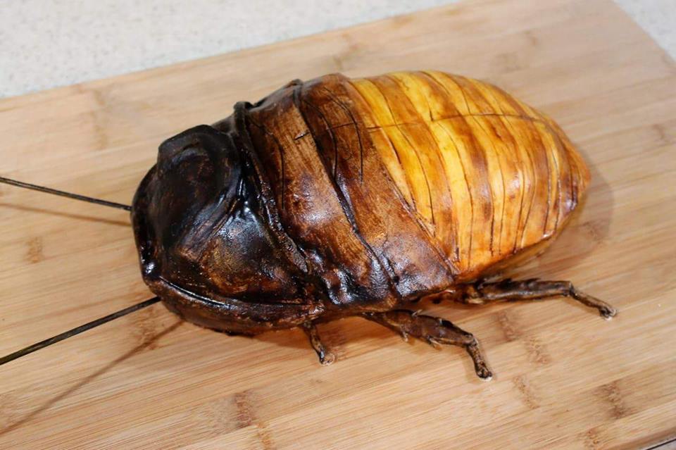 What Do You Think Of This Cockroach Cake