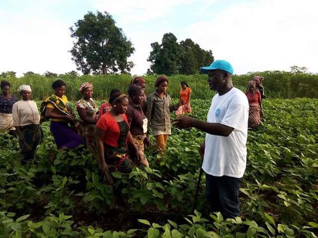 Governor Ortom In His Oracle Farm In Benue (Photos) 4234242_fbimg1473838576846_jpegfb0d3e3dee82bfc555783cfcdd174df3