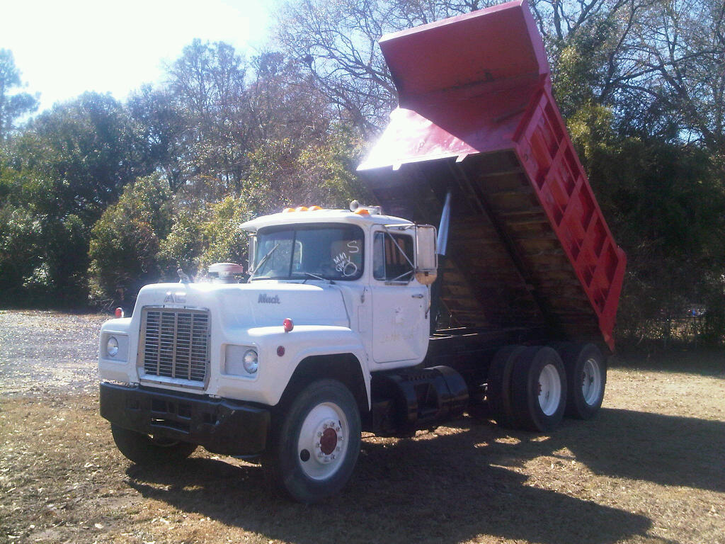 Which stores have dump trucks for sale?