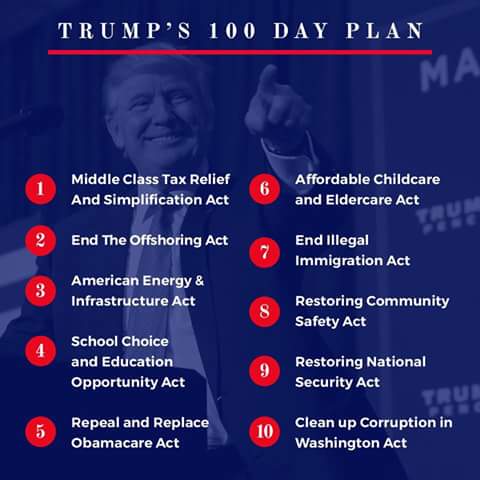 Image result for Trump's 100 days