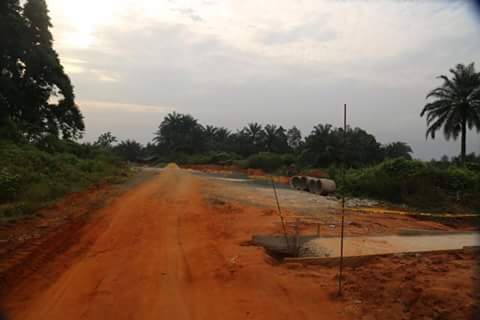 Abia Government Constructs Highway In Arochukwu Forest(pictures)  4474043_16216_jpeg781b170ce20cca879582ece134980aea