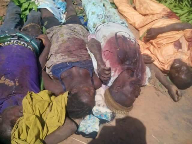 Killing Of Southern Kaduna People By Fulani Herdsmen (Graphic Photos) 4675772_fbimg1483092678128_jpeg98e0911f15f52f0e5a7f763fb6b29412