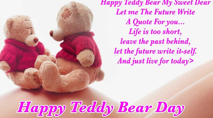 Essay about teddy bears