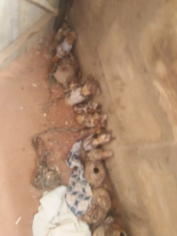 Anambra Pastor Found With Fetish Objects And People's Names In His House (Video) 4845399_img20170209095215_jpeg26deee9f3fc8e37a5769e66a89af3d80