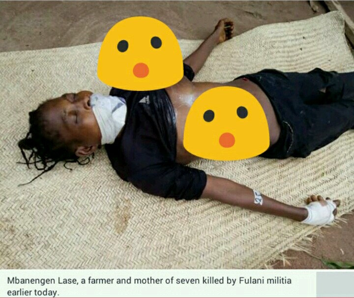 Fulani Herdsmen Kill Woman In Her Farm In Benue State (Photos) 5146019_20170412145523_jpegf96eaacb06ae9fc63f0441dbf5b367cb