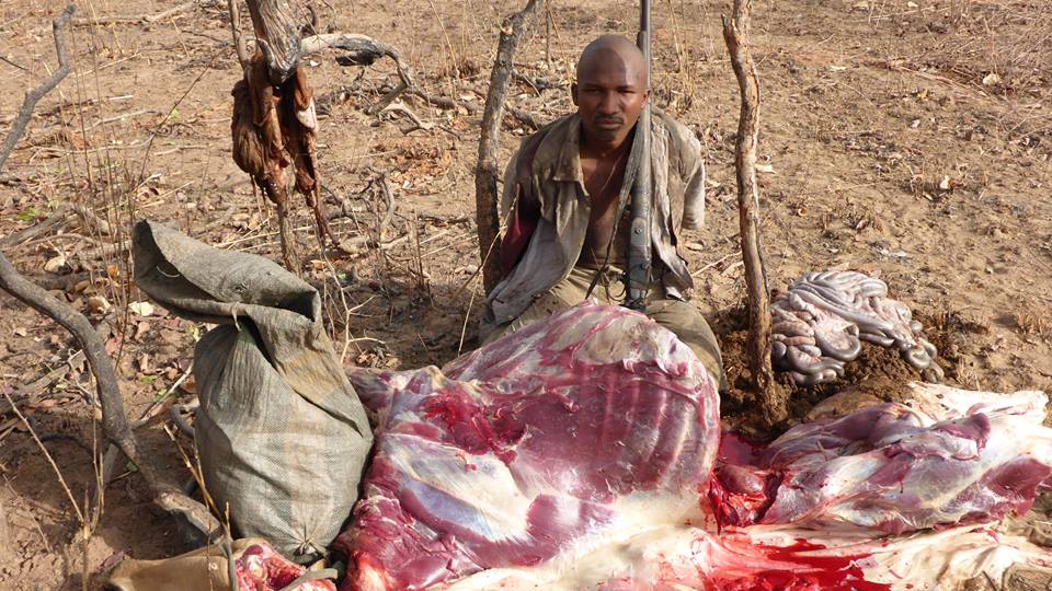 Man Arrested For Killing An Antelope In Bauchi Game Reserve 5362961_jerv_jpegcece11f551fe1d98d3ec156d73a4eabf