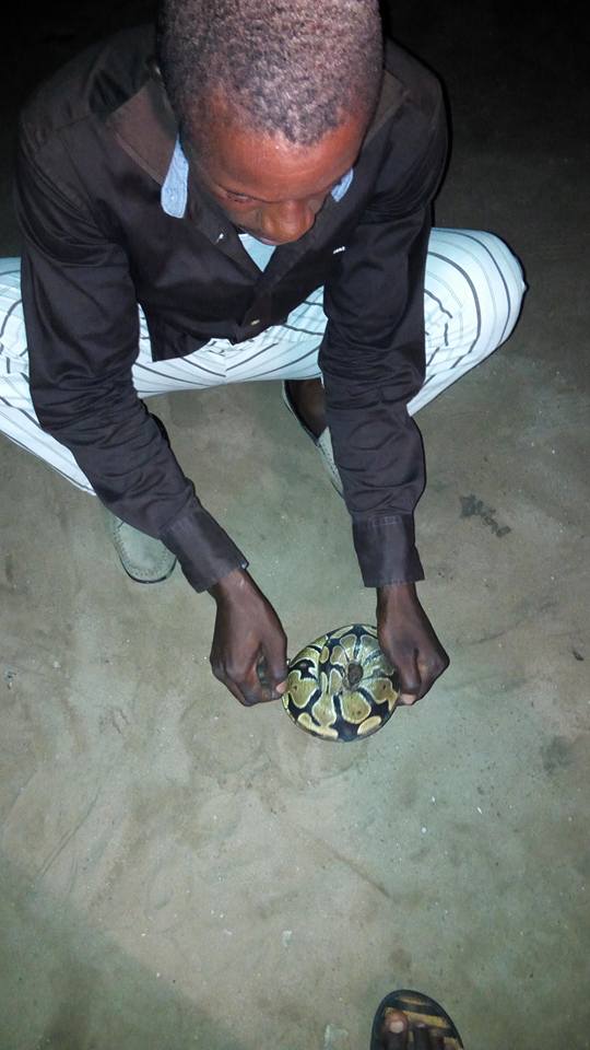 See The Snake My Friend Uncle Killed For Her To Eat (photos) 5363094_1858185817413642161557153432451080367265080n_jpgda9e95481751c1ad84beb84c28847357