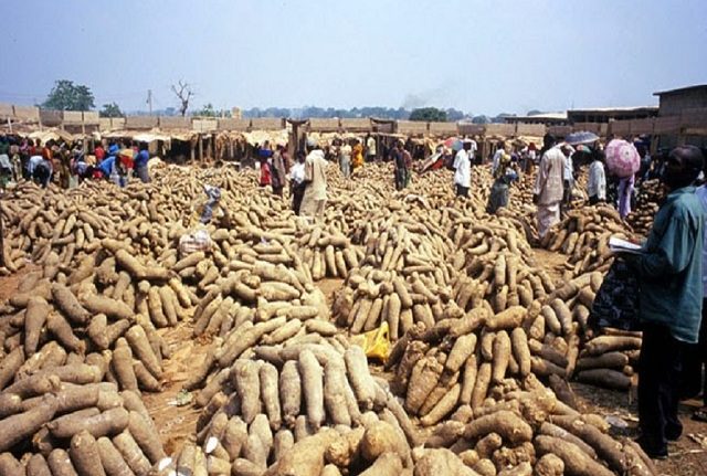 Image result for Nigeria begins yam export to Europe, U.S.