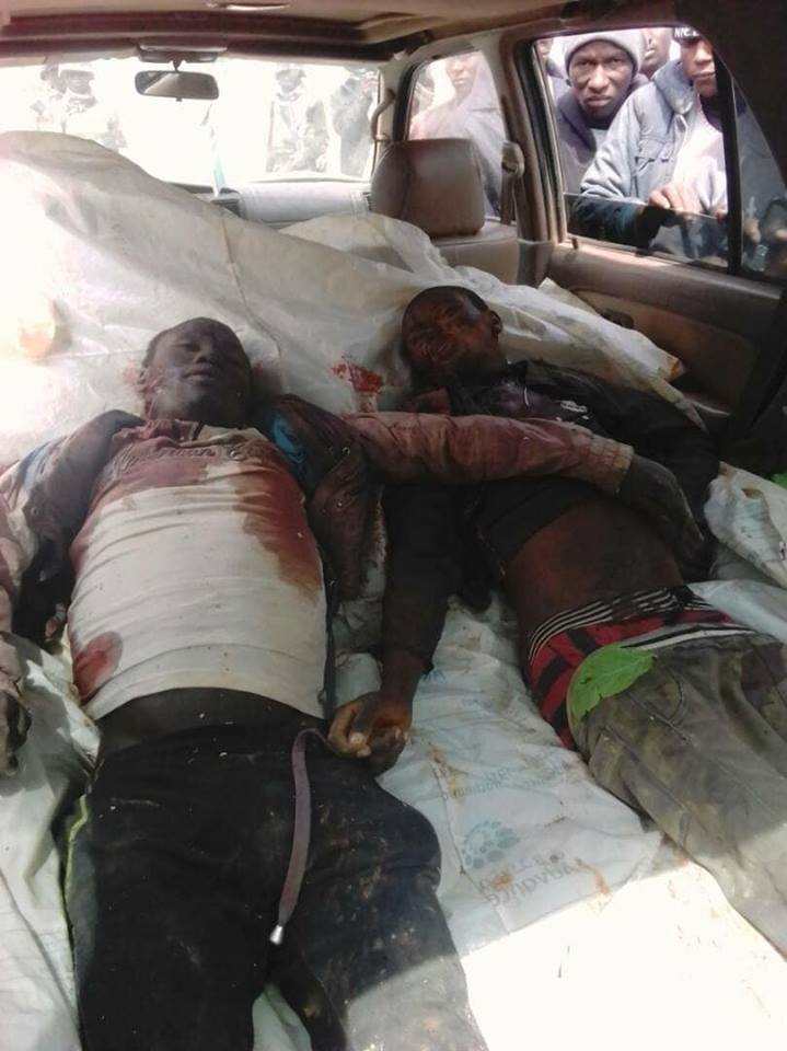 Image result for 2 Fulani herdsmen and all their cattle killed in Plateau state