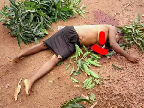 Fulani Herdsmen Murder Family Of 6 In Takum, Taraba (Warning!! Very Graphic Photos) 6929329_aviary1522868542599_jpegc679e1ae5422e718afb2d753a2051059