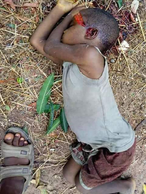 Fulani Herdsmen Murder Family Of 6 In Takum, Taraba (Warning!! Very Graphic Photos) 6929330_fbimg1522868320020_jpegd16461ba711fea8ed1108a501853686f