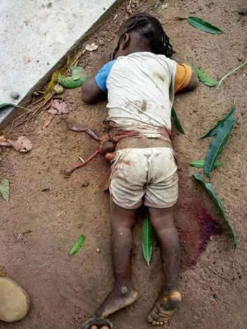 Fulani Herdsmen Murder Family Of 6 In Takum, Taraba (Warning!! Very Graphic Photos) 6929341_fbimg1522868325563_jpeg5b89aba708e5cd20c80c35246cfbeed3