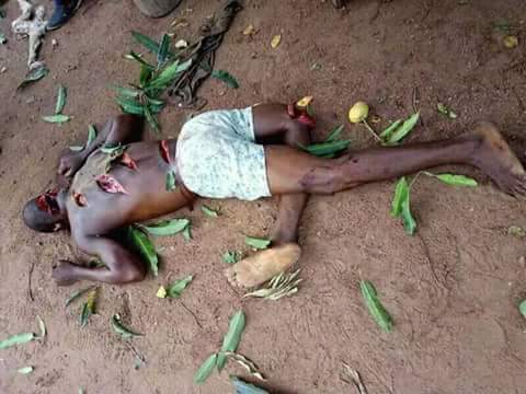 Fulani Herdsmen Murder Family Of 6 In Takum, Taraba (Warning!! Very Graphic Photos) 6929342_fbimg1522868330796_jpeg66b710fbe4cd1075aa8ce831cbeae1be