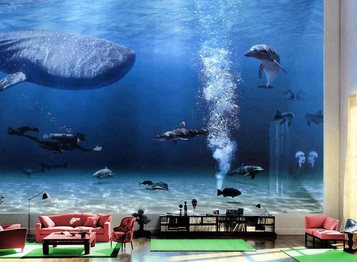 bill gates living room aquarium