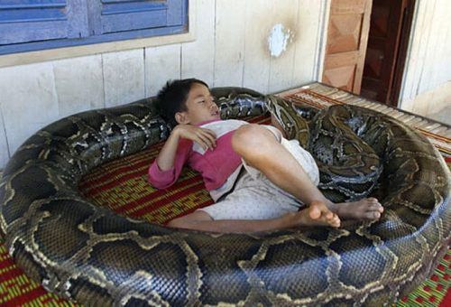 13 Year Old Boy Living And Sleeping With Python 3
