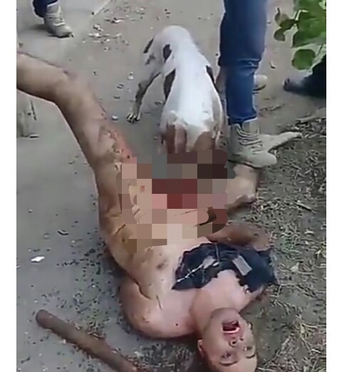 Mexican Gang Castrate Rapist By Letting Pit Bull Eat His Genitals (Graphi.....