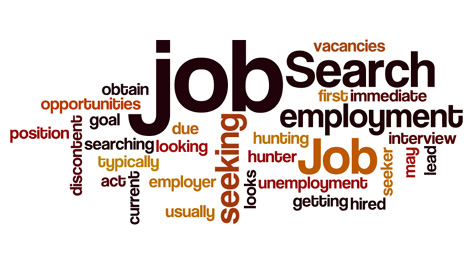 job search consultant