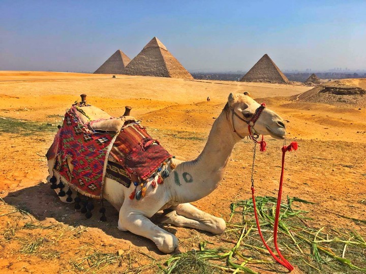 travel to egypt from nigeria