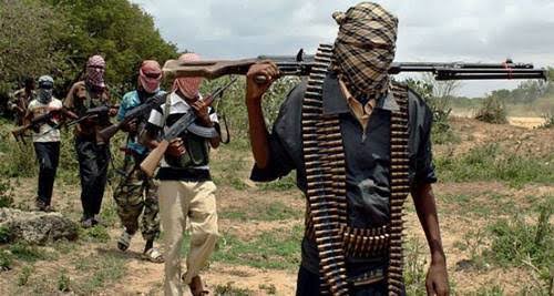 608 Repentant Boko Haram Insurgents Currently Undergoing Rehabilitation