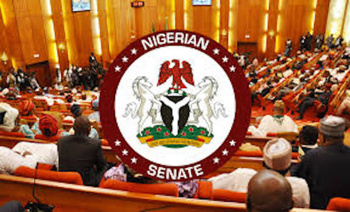 Senate unveils 45-member committee for constitution review