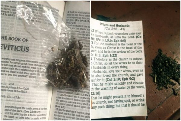 What Does the Bible Say about Smoking Weed?