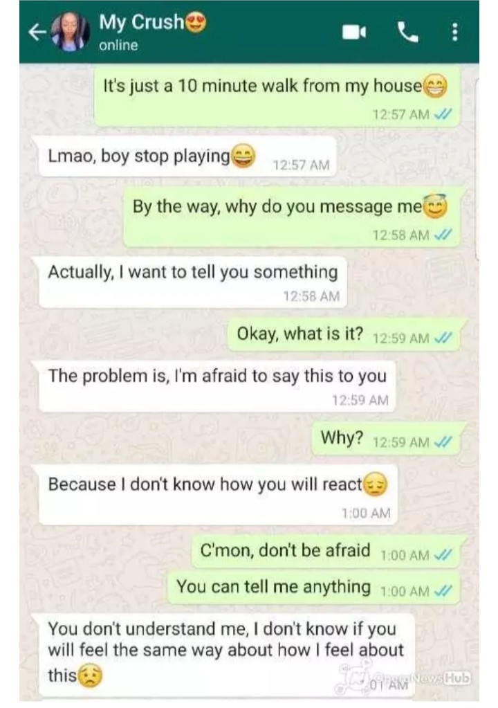 Check Out This Hilarious Chat Between A Guy And His Crush - Romance -  Nigeria