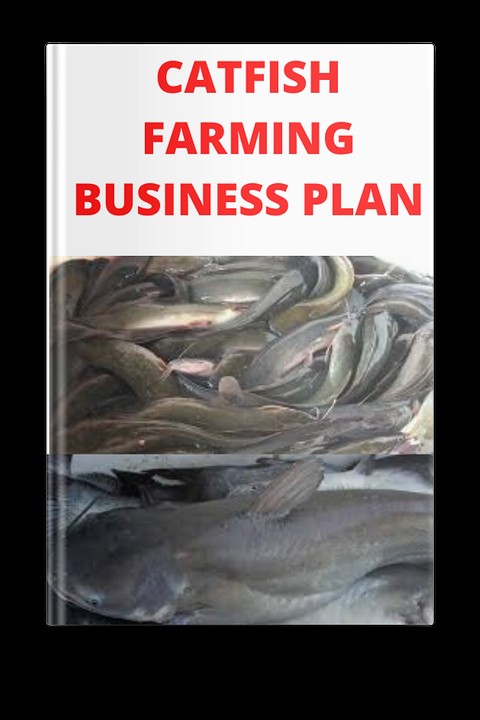 catfish business plan doc