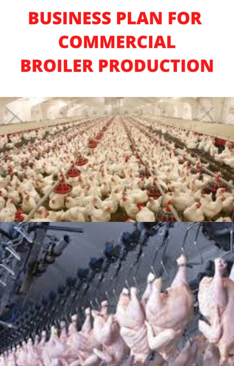 broiler chicken production business plan pdf
