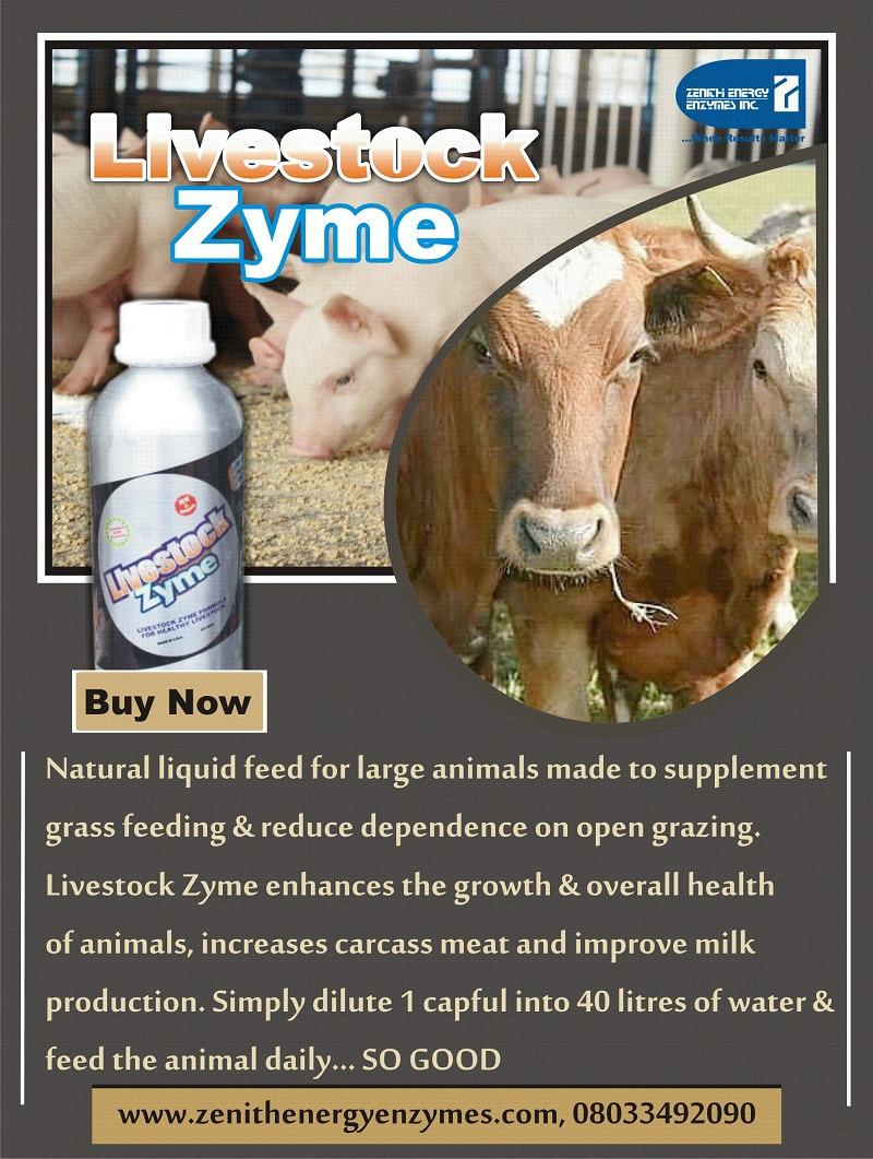 Livestock Zyme- Liquid Feed Supplement For All Livestock - Agriculture -  Nigeria