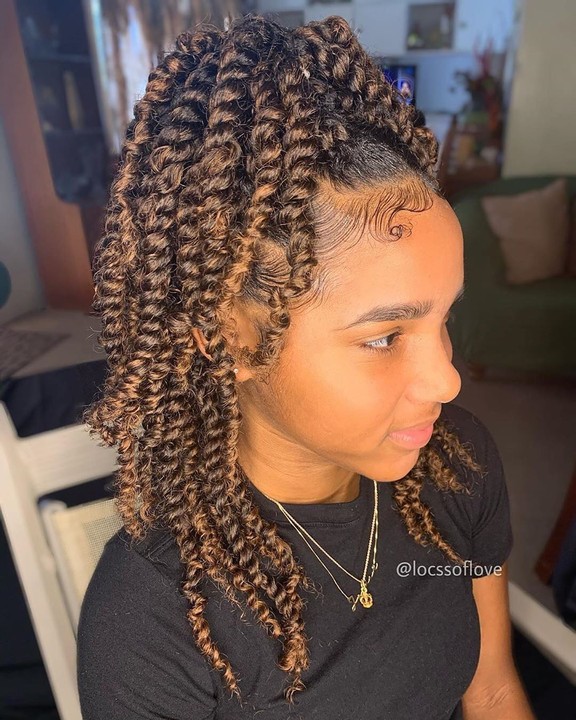 Different Types Of Braids Styles For Black Hair: 2020 Best Braids For ...