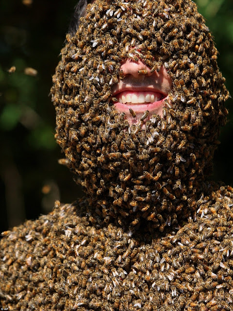 Man Covered With Biggest Number Of Stinging Bees Pictures Celebrities Nigeria
