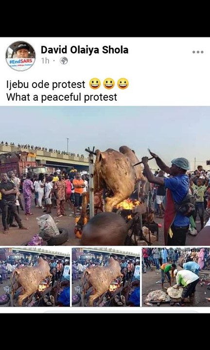 Ijebu Ode Protesters Kill And Roast A Cow At Protest Ground (Photos) -  Politics - Nigeria