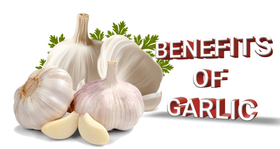 Benefits Of Garlic Sexually 5 Amazing Benefits Of Garlic
