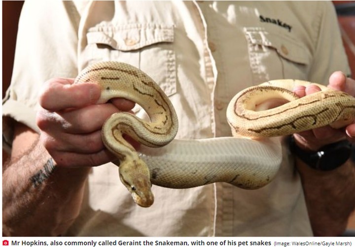 Meet 'Snakeman' Who Lives With 120 Pet Snakes, 70 Spiders, Bald Rats In Wales 12934171_1_jpeg83b5009e040969ee7b60362ad7426573