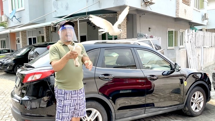 Daddy Freeze's Pigeons Fly As He Releases Them (Video) 13009713_daddyfreeze20210118192144_jpegba2a4417a46fb24d8613a37dcf025efd