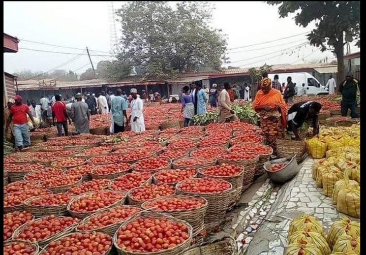 Prices Of Food Items Rise In Kano, Abuja, Lagos, Others - Politics ...