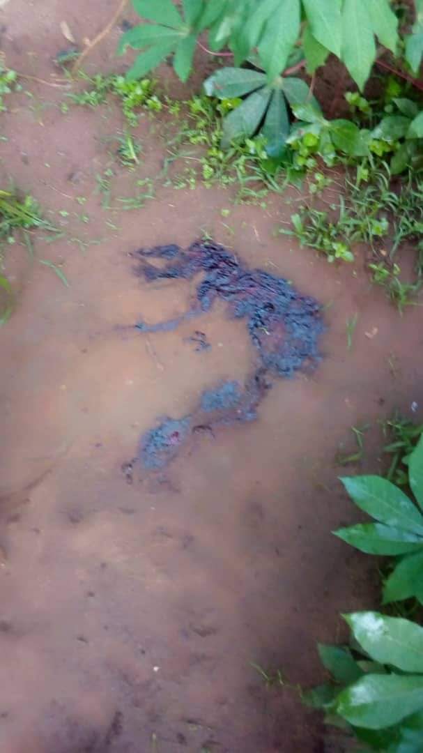 15-Year-Old Virgin Girl Gang-Raped By 7 Men In Delta State (Disturbing Photos)