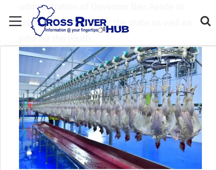 Nigeria: Cross River ramps up chicken processing at 24000 birds per day factory as ultramodern poultry begins evacuation of birds