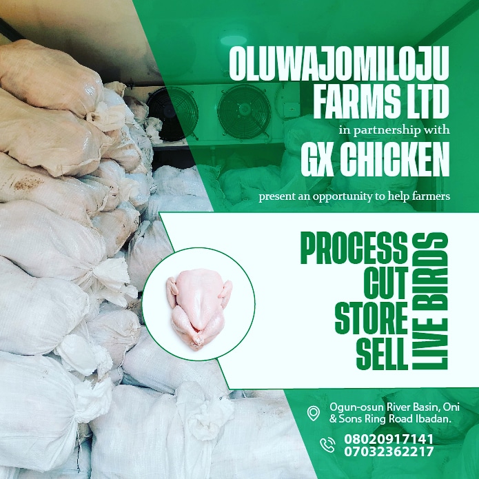 literature review on broiler production in nigeria
