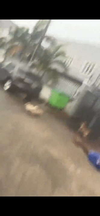 Naira Marley And His Dogs Playing In The Rain (Video)  15073036_c0e8e5f02cc54b1bb241289cd1894fa9_jpegb5cdce71e3e8ba78614618d474febbf5