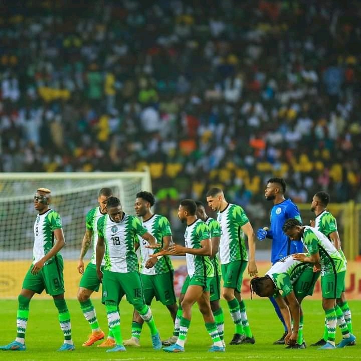 Troost Ekong apologizes on behalf of the Super Eagles
