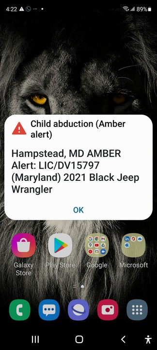 Emergency Amber Alert in USA - Crime - Nigeria
