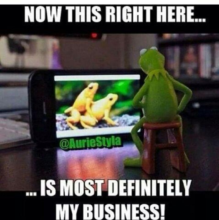 Funny Kermit The Frog Memes - Jokes Etc - Nairaland.