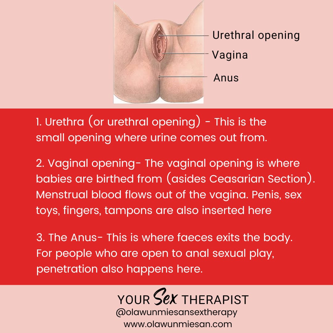 Female urethra play
